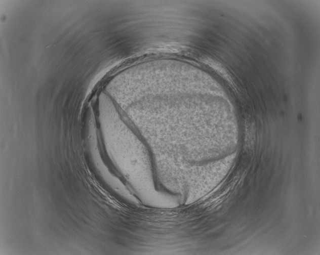 X0000061150878200512161553