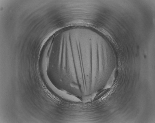 X0000061150880200512161553