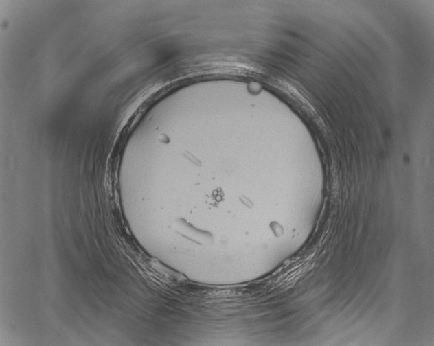 X0000061150883200512161553