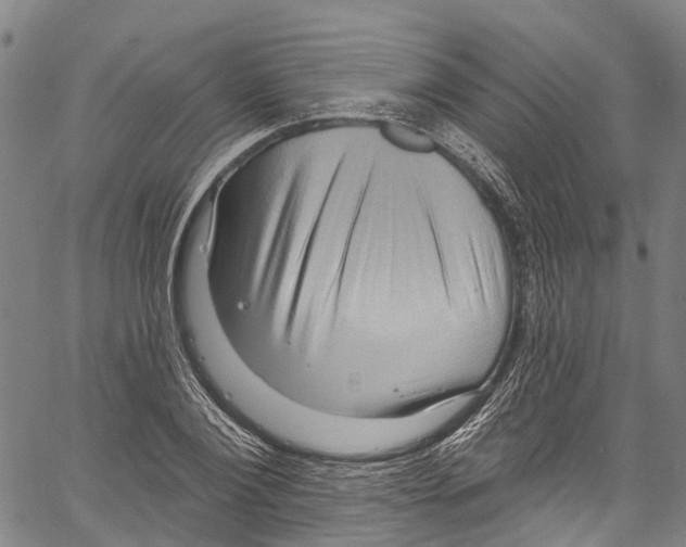 X0000061150884200512161553