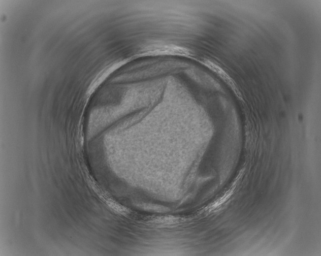 X0000061150885200512161552