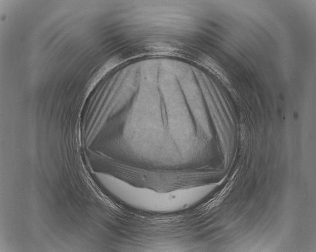 X0000061150891200512161552