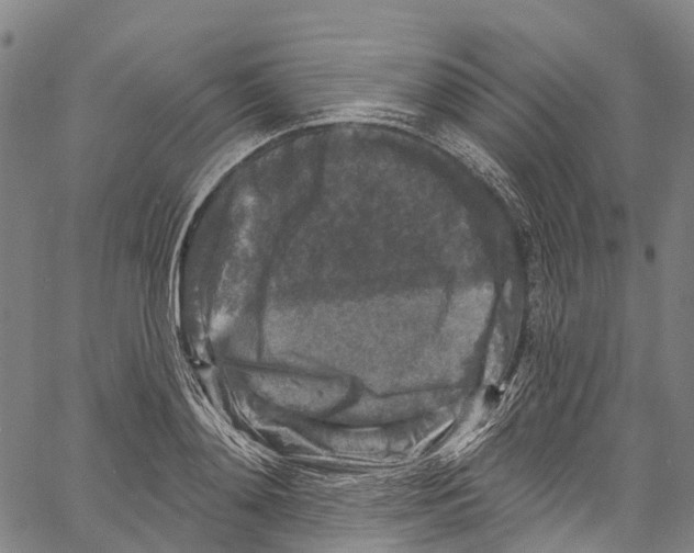 X0000061150892200512161552