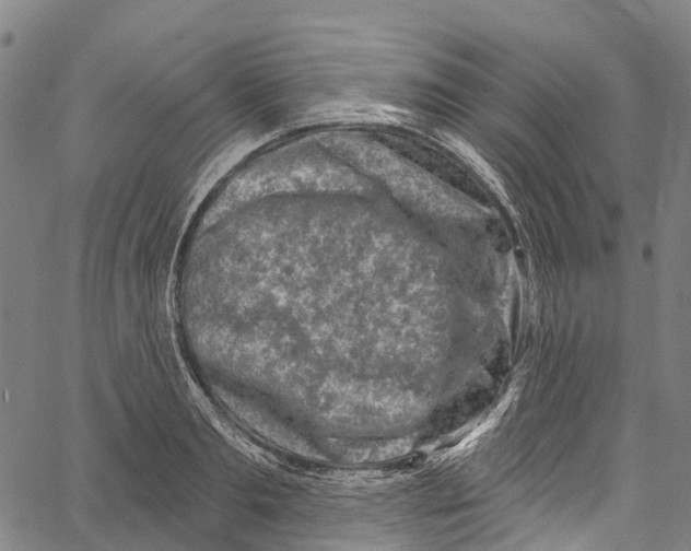 X0000061150893200512161552