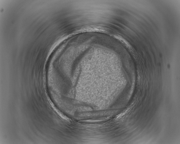 X0000061150894200512161552