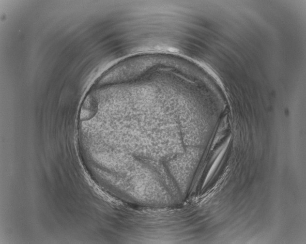 X0000061150895200512161552