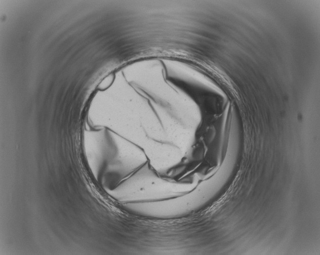 X0000061150896200512161552