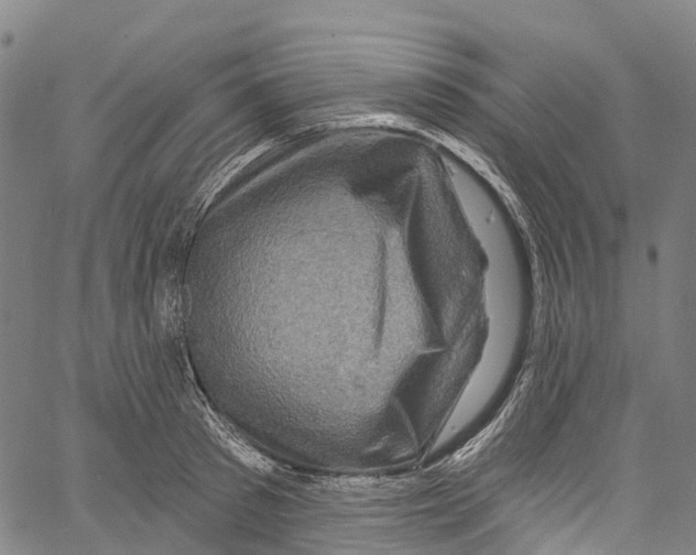 X0000061150897200512161552