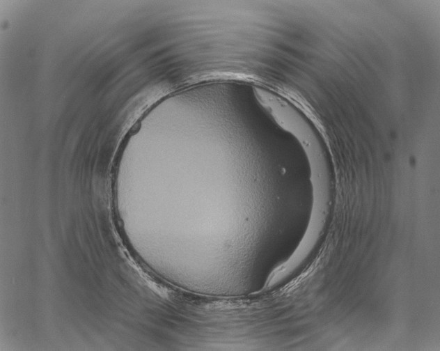 X0000061150898200512161552