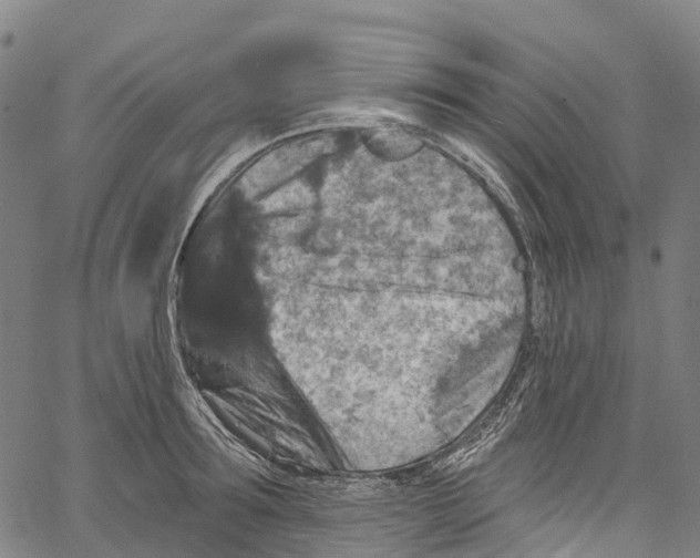 X0000061150899200512161552