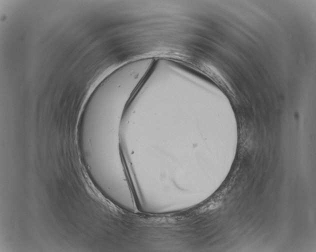 X0000061150900200512161552