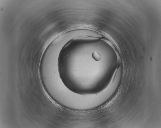 X0000061150901200512161552