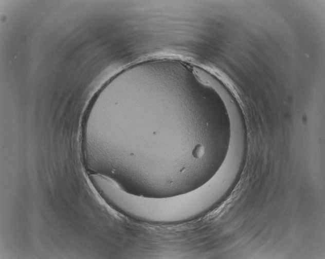 X0000061150902200512161552