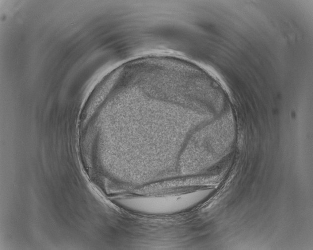 X0000061150903200512161552