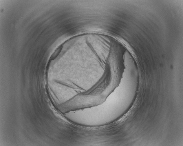 X0000061150904200512161552