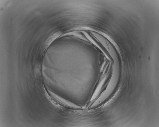 X0000061150905200512161552