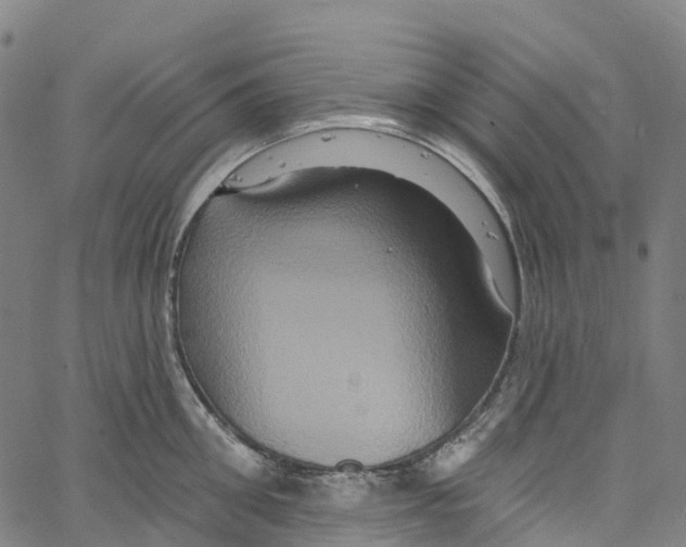 X0000061150906200512161552