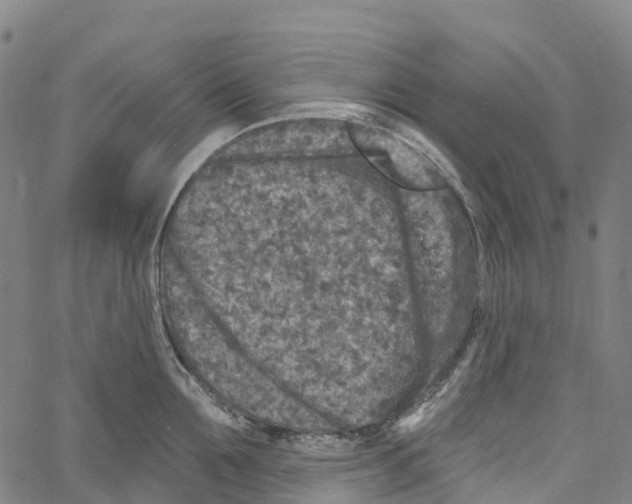 X0000061150907200512161552