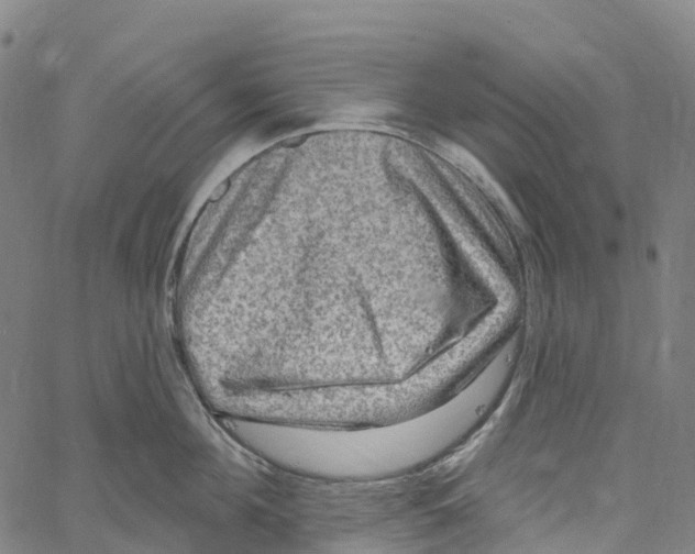 X0000061150908200512161552