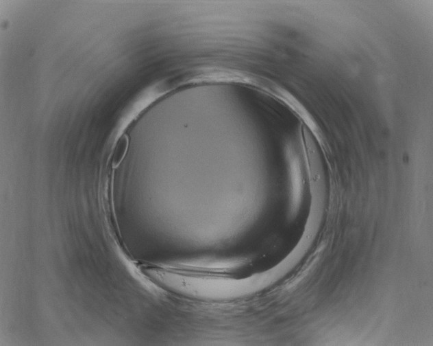 X0000061150909200512161552