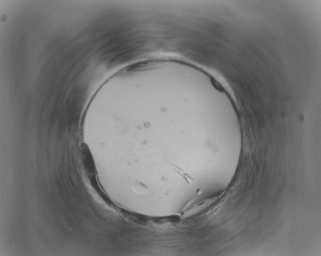 X0000061150911200512161552