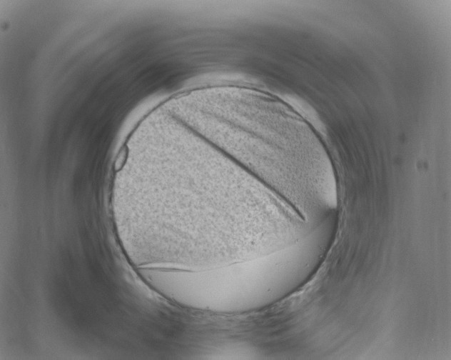 X0000061150912200512161552