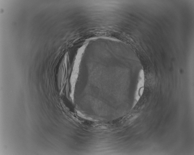 X0000061150913200512161551