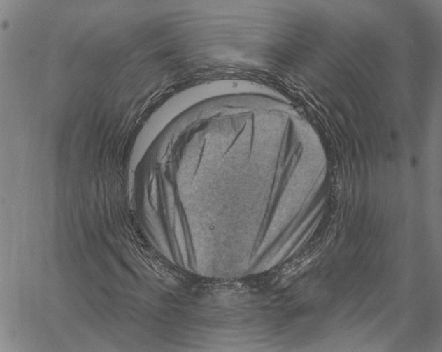 X0000061150916200512161551