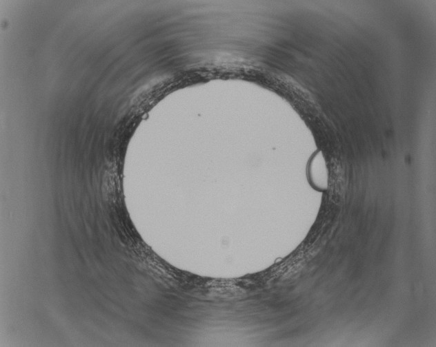 X0000061150918200512161551