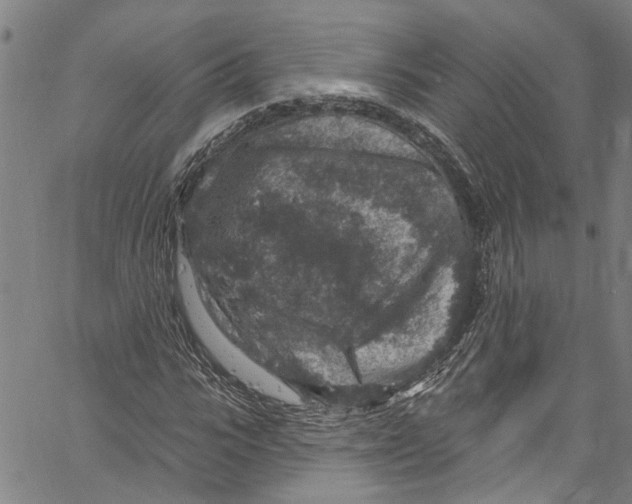 X0000061150919200512161551