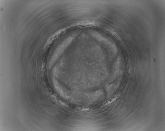 X0000061150920200512161551