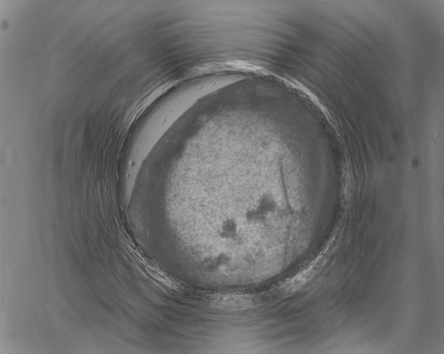 X0000061150921200512161551