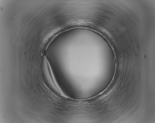 X0000061150922200512161551