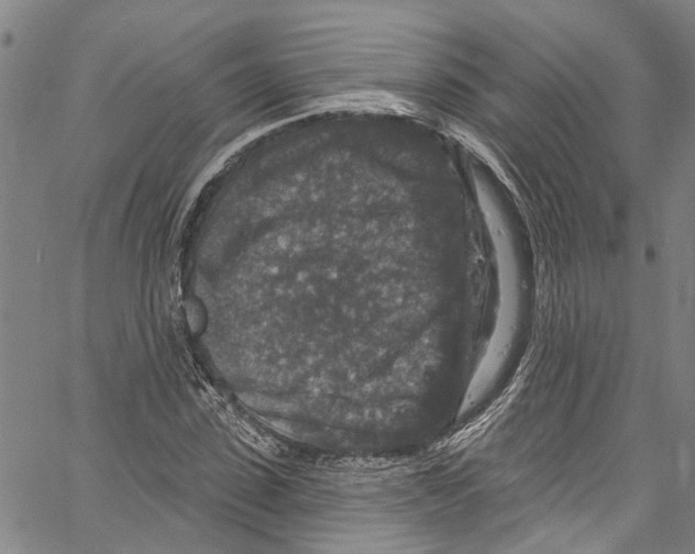 X0000061150923200512161551