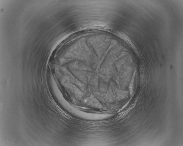 X0000061150924200512161551