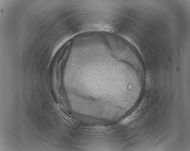 X0000061150925200512161551