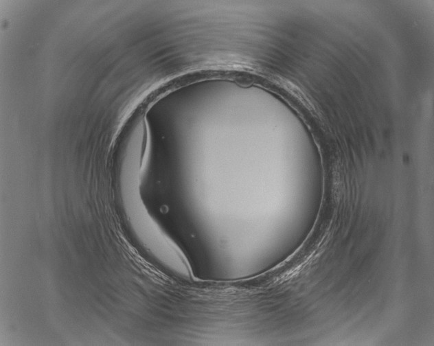 X0000061150926200512161551