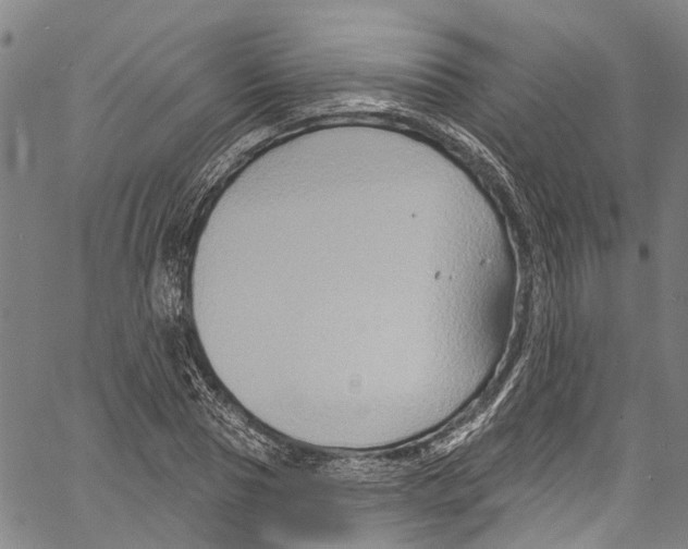 X0000061150929200512161552