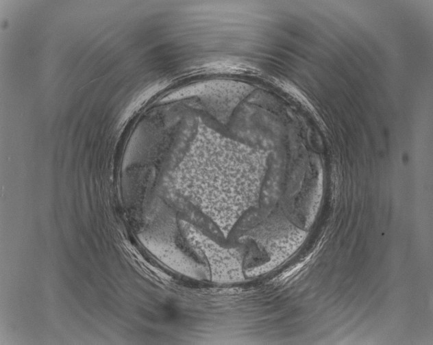 X0000061150930200512161552