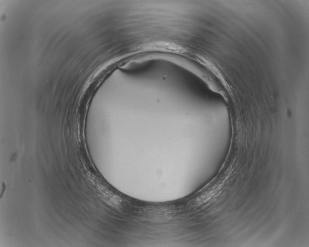 X0000061150931200512161552