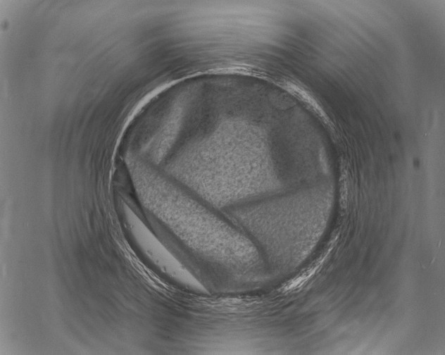 X0000061150932200512161552