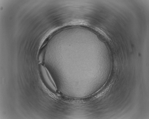 X0000061150934200512161552