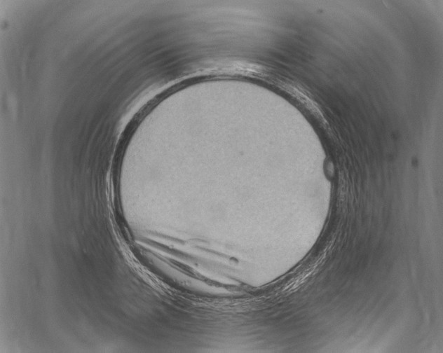 X0000061150936200512161552