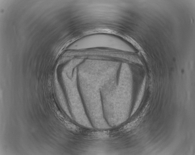 X0000061150937200512161552