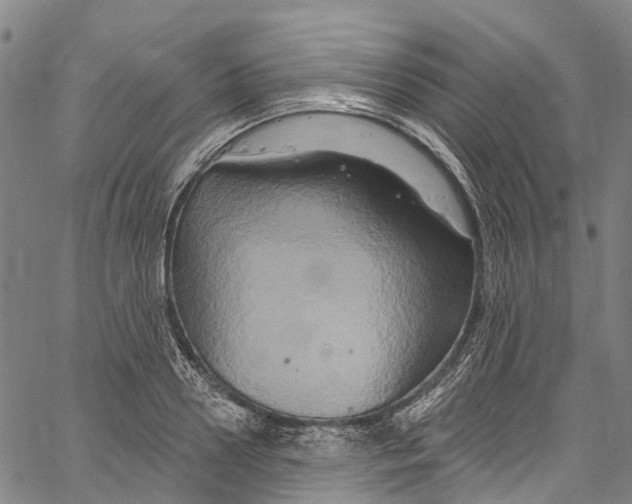 X0000061150938200512161552