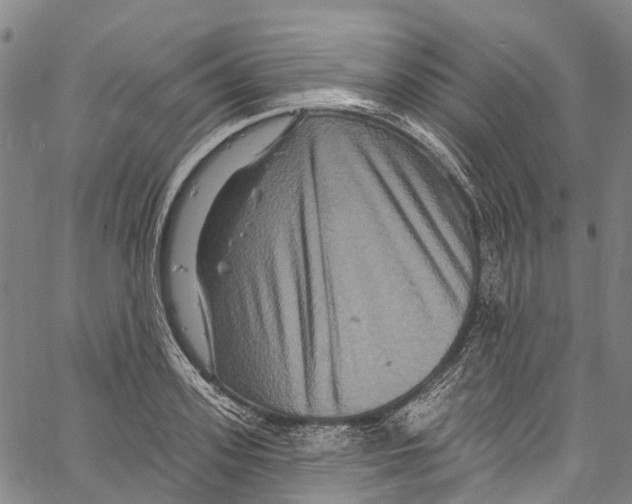 X0000061150939200512161552