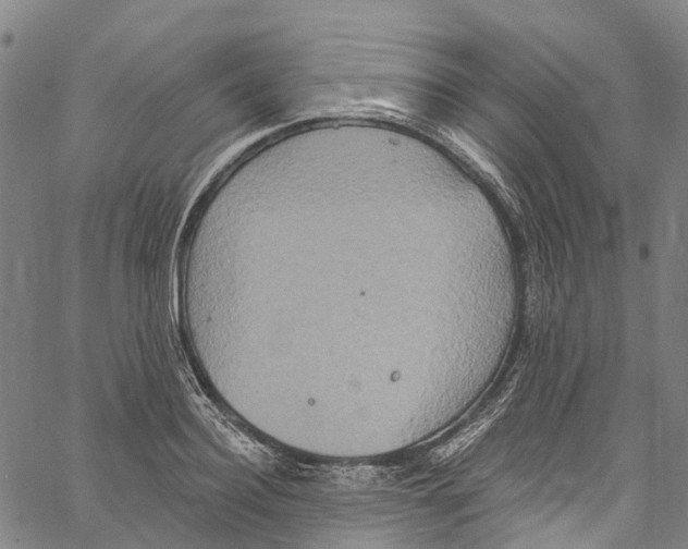 X0000061150940200512161552