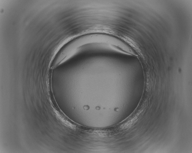 X0000061150942200512161552