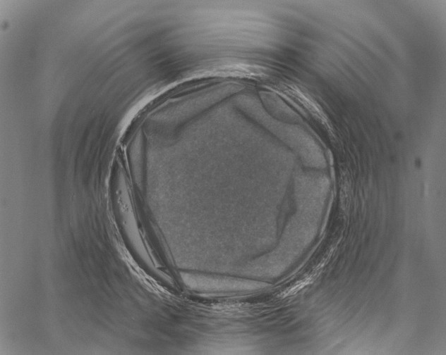 X0000061150944200512161552