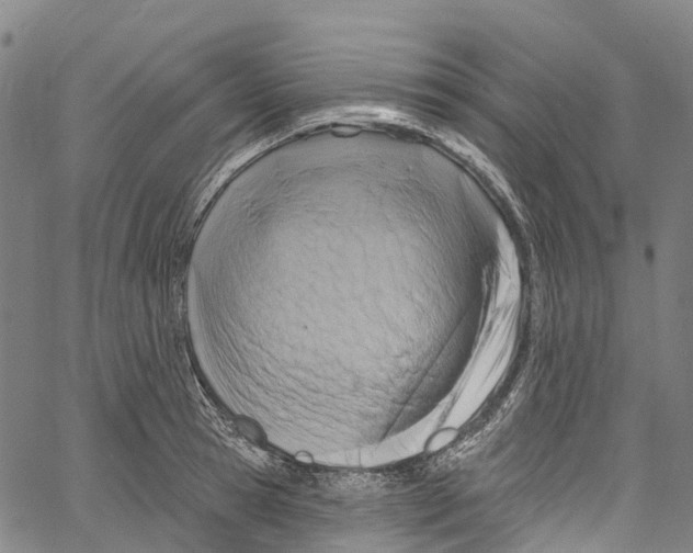 X0000061150945200512161552